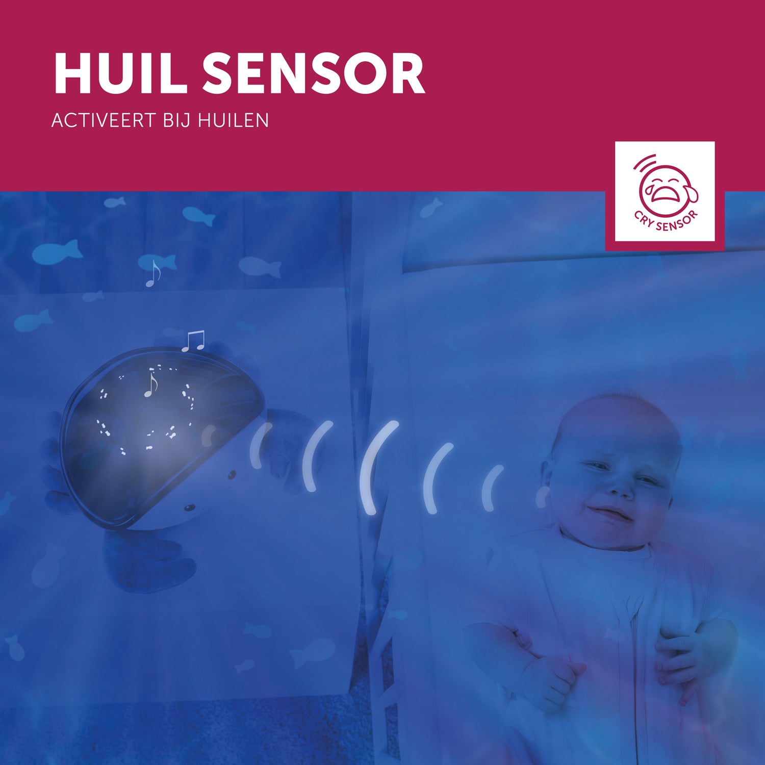 Cody de krab -  rustgevende onderwater projector