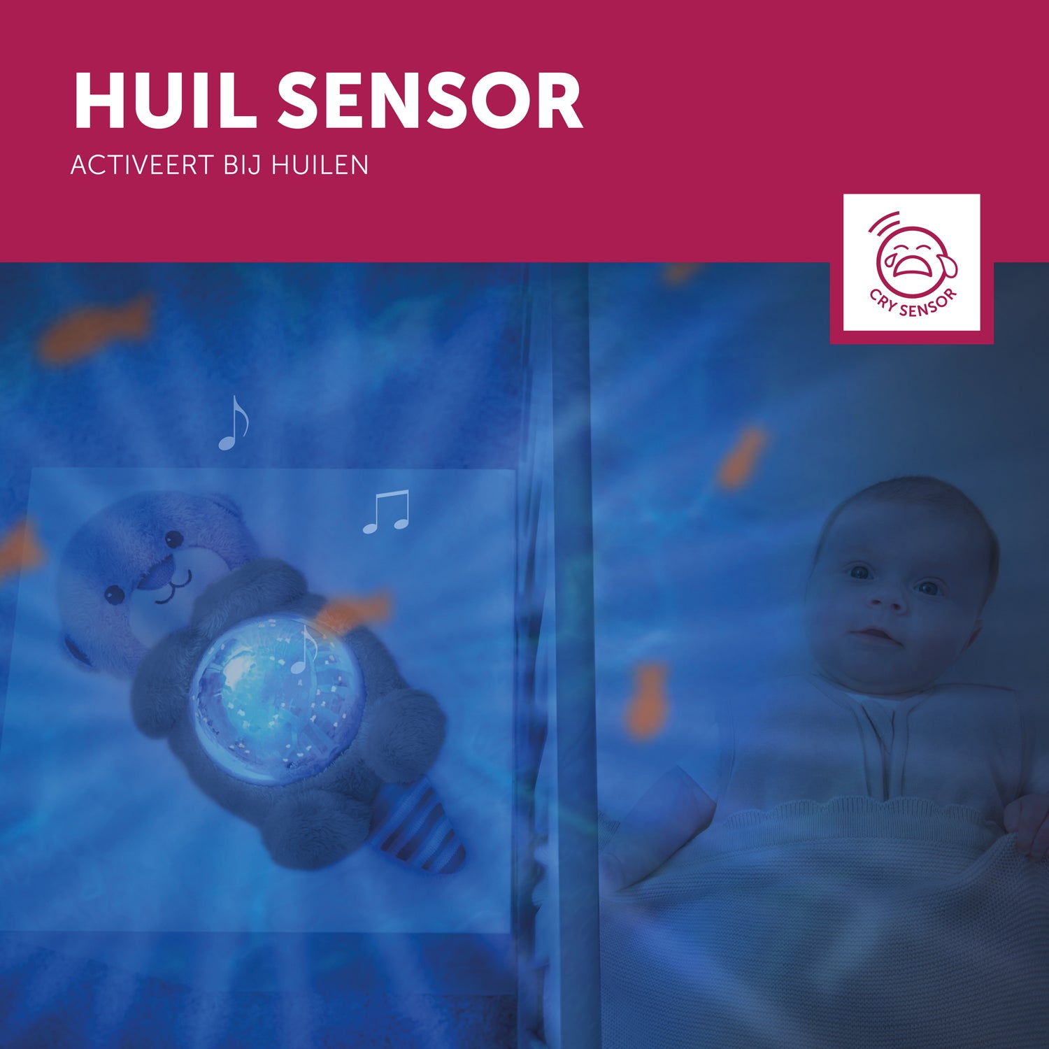 Cody de krab -  rustgevende onderwater projector