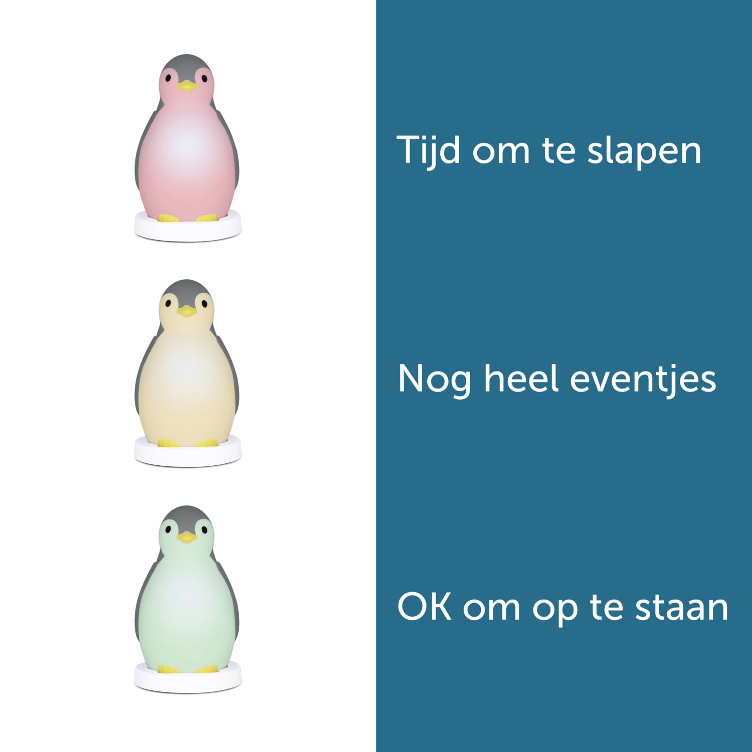 Pam de Pinguïn – slaaptrainer & nachtlampje